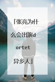 张亮为什么会出演dortet异乡人