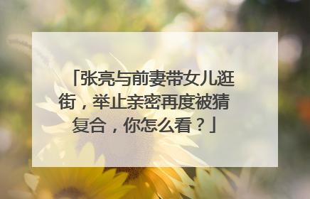 张亮与前妻带女儿逛街，举止亲密再度被猜复合，你怎么看？