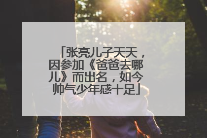 张亮儿子天天,因参加《爸爸去哪儿》而出名,如今帅气少年感十足