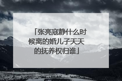 张亮寇静什么时候离的婚儿子天天的抚养权归谁
