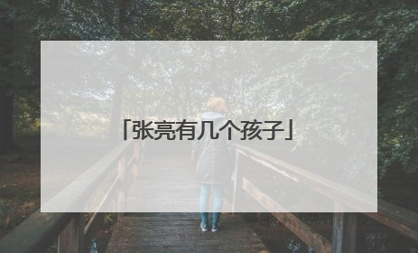 张亮有几个孩子