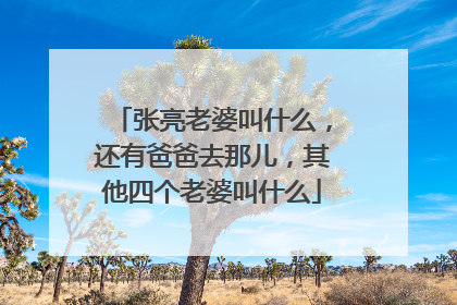 张亮老婆叫什么,还有爸爸去那儿,其他四个老婆叫什么