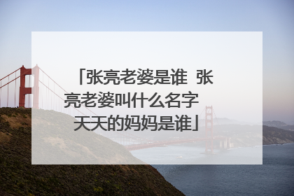 张亮老婆是谁 张亮老婆叫什么名字 天天的妈妈是谁