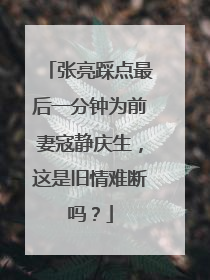 张亮踩点最后一分钟为前妻寇静庆生，这是旧情难断吗？