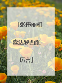 张伟丽和隆达罗西谁厉害