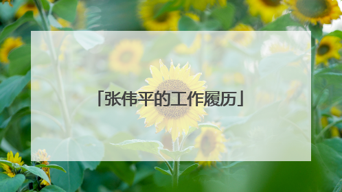 张伟平的工作履历