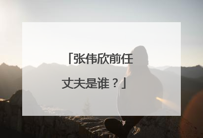 张伟欣前任丈夫是谁?