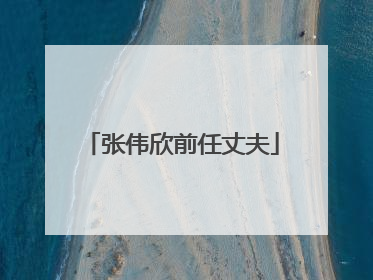 张伟欣前任丈夫