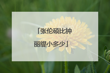 张伦硕比钟丽缇小多少