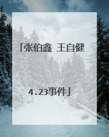 张伯鑫 王自健 4.23事件