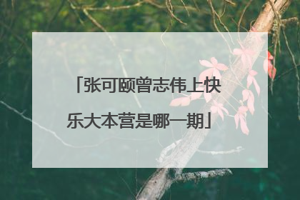 张可颐曾志伟上快乐大本营是哪一期