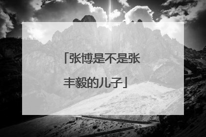 张博是不是张丰毅的儿子