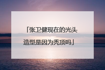 张卫健现在的光头造型是因为秃顶吗
