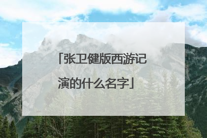 张卫健版西游记演的什么名字
