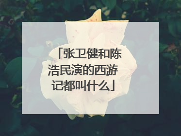 张卫健和陈浩民演的西游记都叫什么