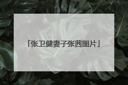 张卫健妻子张茜图片