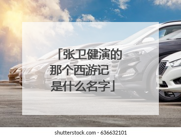 张卫健演的那个西游记 是什么名字