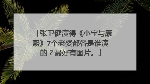 张卫健演得《小宝与康熙》7个老婆都各是谁演的？最好有图片。