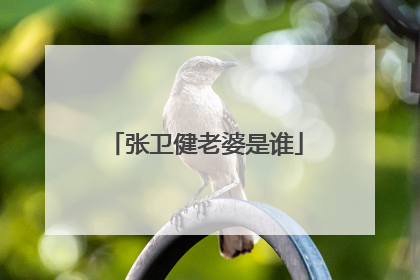 张卫健老婆是谁