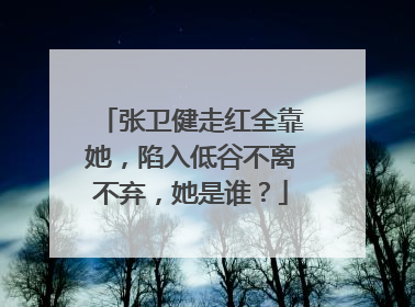 张卫健走红全靠她，陷入低谷不离不弃，她是谁？