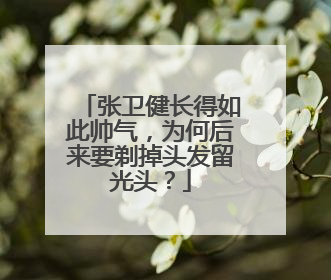 张卫健长得如此帅气，为何后来要剃掉头发留光头？