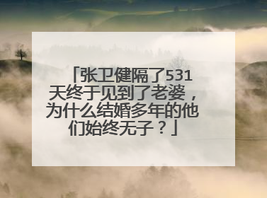 张卫健隔了531天终于见到了老婆,为什么结婚多年的他们始终无子?