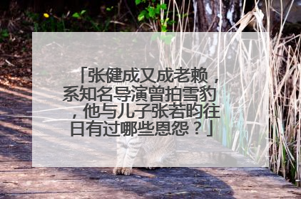 张健成又成老赖,系知名导演曾拍雪豹,他与儿子张若昀往日有过哪些恩怨?