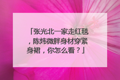 张光北一家走红毯,陈炜微胖身材穿紧身裙,你怎么看?