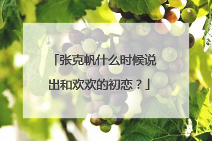 张克帆什么时候说出和欢欢的初恋?