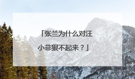 张兰为什么对汪小菲狠不起来？