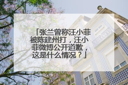 张兰曾称汪小菲被陈建州打，汪小菲微博公开道歉，这是什么情况？