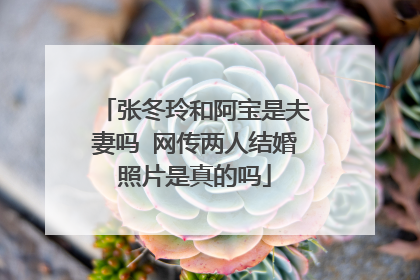 张冬玲和阿宝是夫妻吗 网传两人结婚照片是真的吗