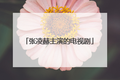 张凌赫主演的电视剧