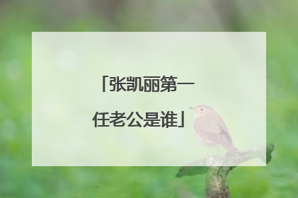 张凯丽第一任老公是谁