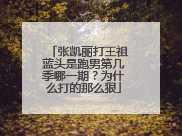 张凯丽打王祖蓝头是跑男第几季哪一期？为什么打的那么狠