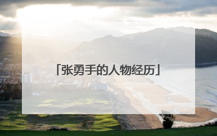 张勇手的人物经历