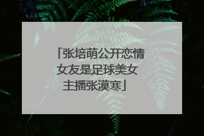 张培萌公开恋情 女友是足球美女主播张漠寒