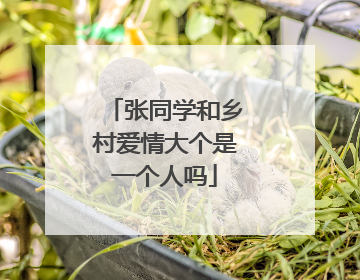 张同学和乡村爱情大个是一个人吗