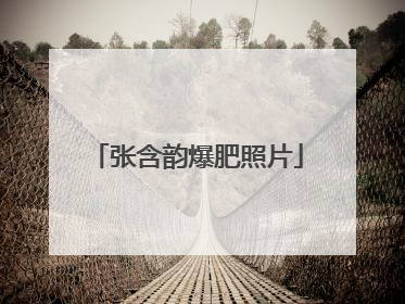 张含韵爆肥照片