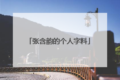 张含韵的个人字料