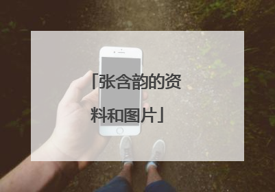 张含韵的资料和图片