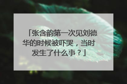 张含韵第一次见刘德华的时候被吓哭,当时发生了什么事?