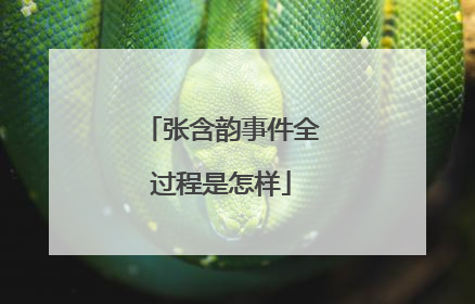 张含韵事件全过程是怎样