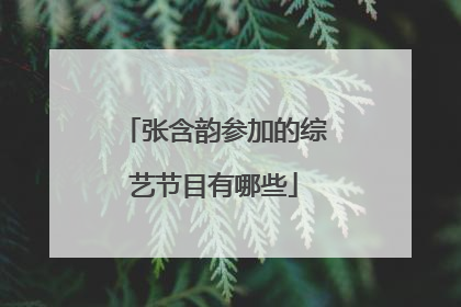 张含韵参加的综艺节目有哪些