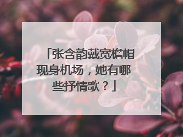 张含韵戴宽檐帽现身机场，她有哪些抒情歌？