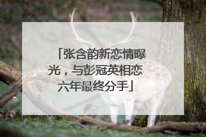 张含韵新恋情曝光,与彭冠英相恋六年最终分手