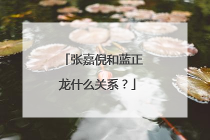 张嘉倪和蓝正龙什么关系?