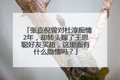 张嘉倪曾对杜淳痴情2年,却转头嫁了王思聪好友买超,这里面有什么隐情吗?