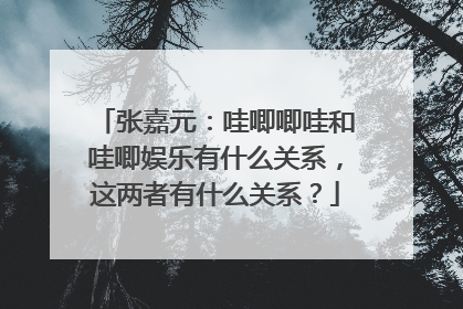 张嘉元：哇唧唧哇和哇唧娱乐有什么关系，这两者有什么关系？