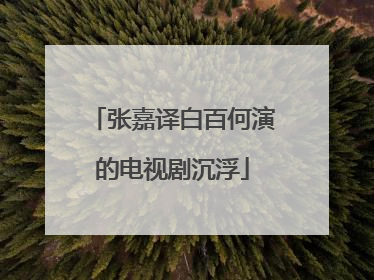 张嘉译白百何演的电视剧沉浮